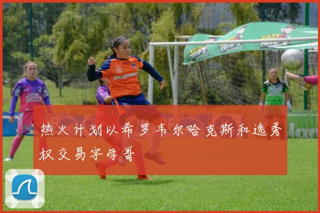 热火计划以希罗韦尔哈克斯和选秀权交易字母哥